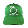 Heritage Pride Georgia Peach Hat Kelly Green